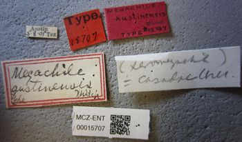 Media type: image;   Entomology 15707 Aspect: labels